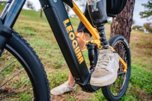Developing Hardiness in the Digital Age