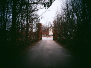 How Hardiness Shapes Success