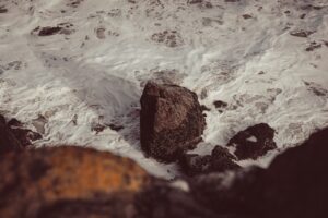 The Science of Hardiness What Makes Us Resilient