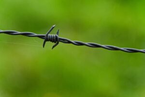 The Three Cs of Hardiness Commitment, Control, and Challenge